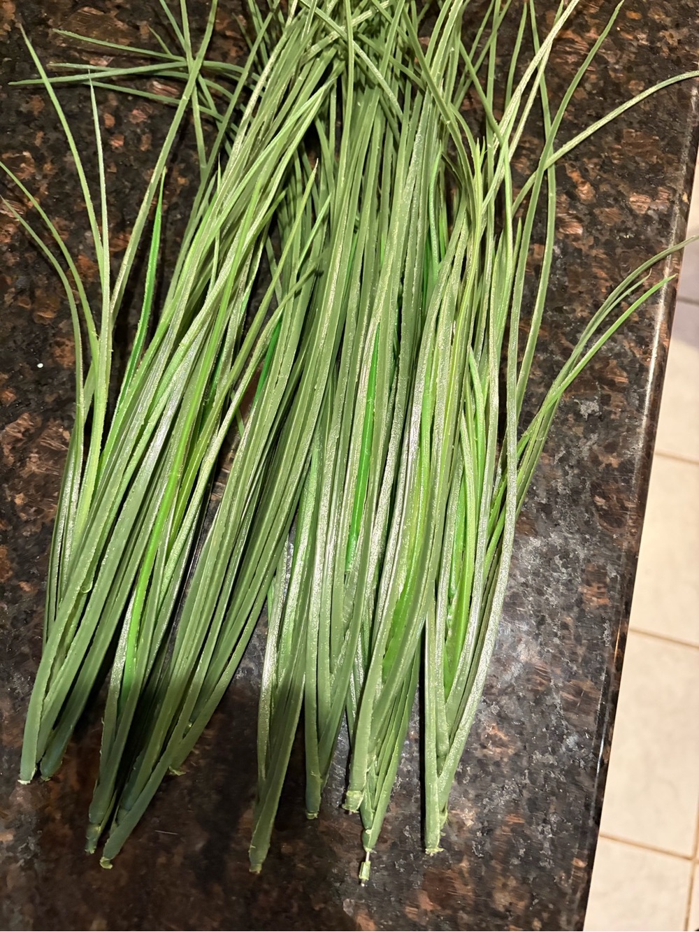 Fake grass - Picture 2 of 4